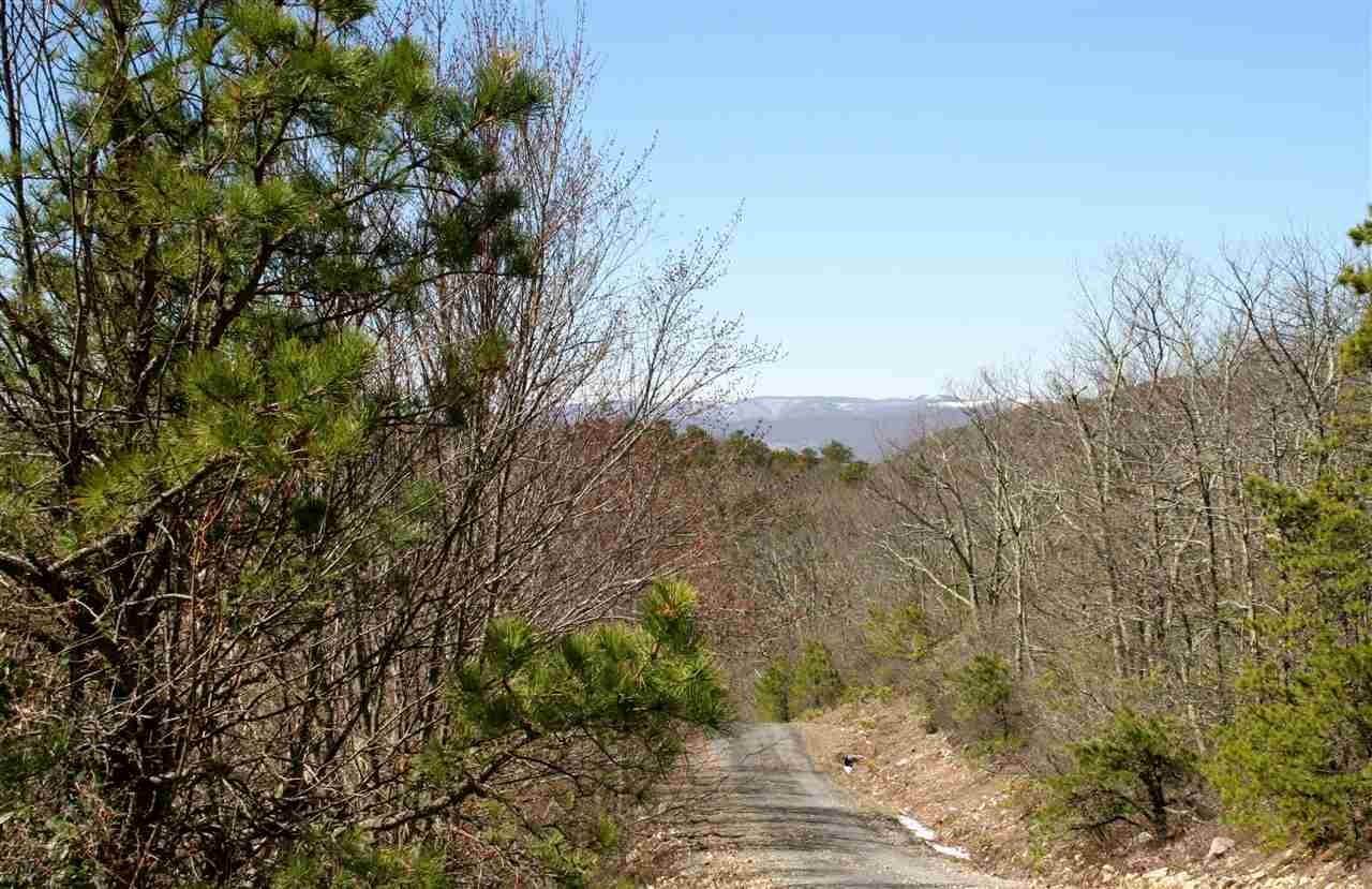 4. Land for Sale at 98 N SUMMIT Drive Monterey, Virginia 24465 United States