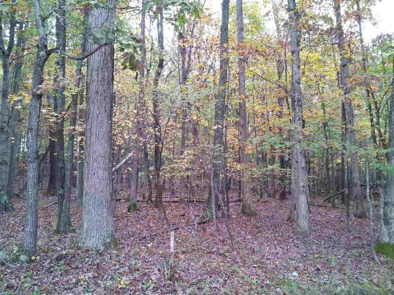 1. Land for Sale at tbd GIBBS Road Spottswood, Virginia 24476 United States
