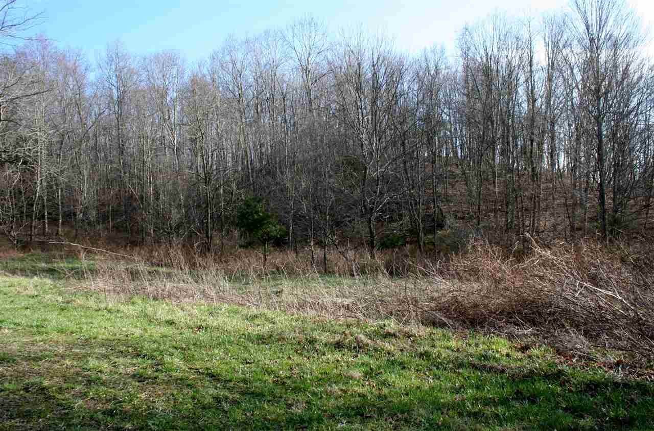 4. Land for Sale at Lot 10 Low Hill NW JACKSON RIVER Road Monterey, Virginia 24465 United States
