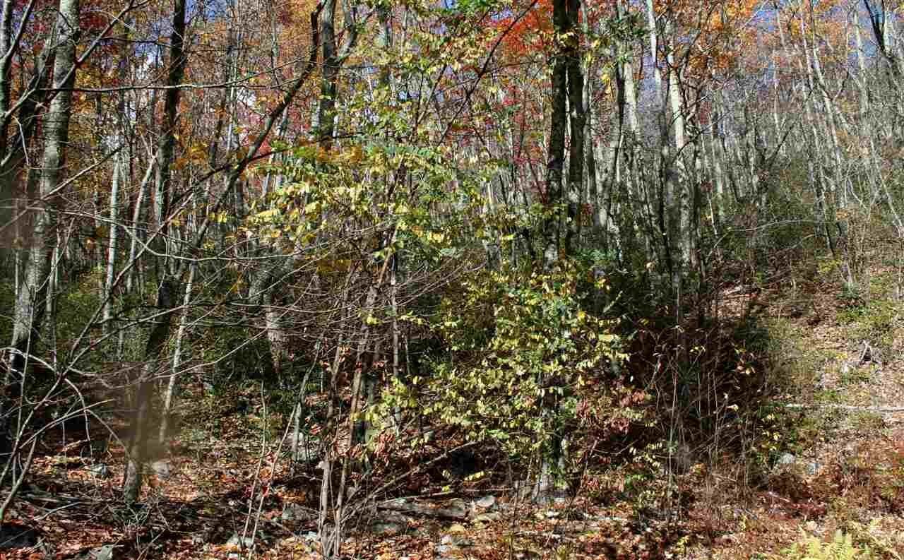 4. Land for Sale at Lot 58 & 59 HIGH VALLEY Drive Monterey, Virginia 24465 United States