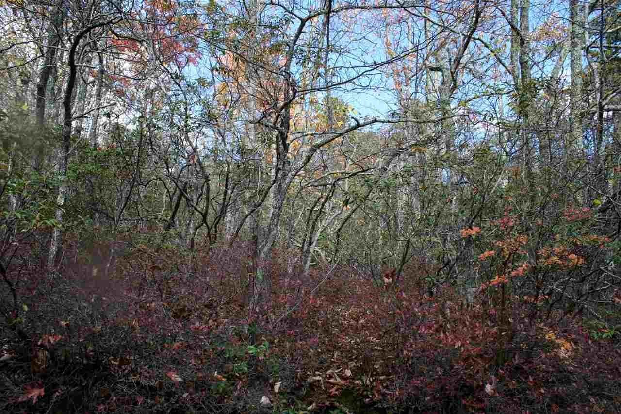 5. Land for Sale at Lot 58 & 59 HIGH VALLEY Drive Monterey, Virginia 24465 United States