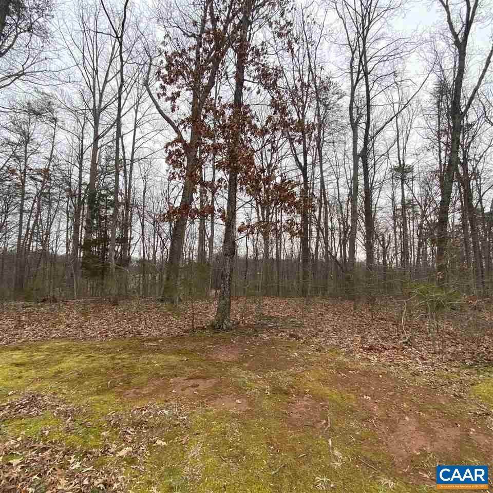 6. Land for Sale at Lot 11 LANGDON WOODS Drive Dyke, Virginia 22935 United States