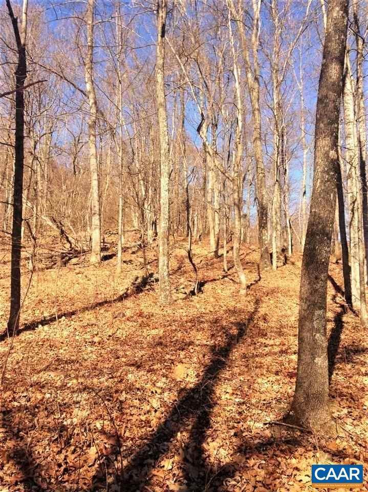 8. Land for Sale at 434 STINNETT Road Amherst, Virginia 24521 United States