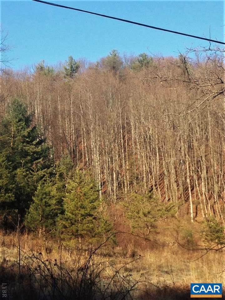 9. Land for Sale at 434 STINNETT Road Amherst, Virginia 24521 United States