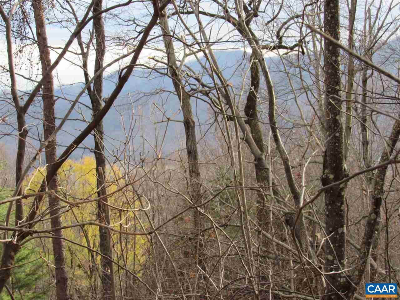 Land for Sale at 1351 BLACK WALNUT Drive Wintergreen, Virginia 22958 United States