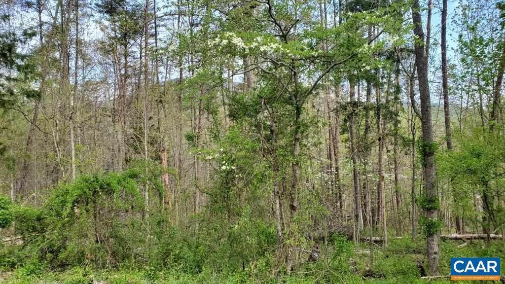 11. Land for Sale at 457 STONEY CREEK EAST Nellysford, Virginia 22958 United States