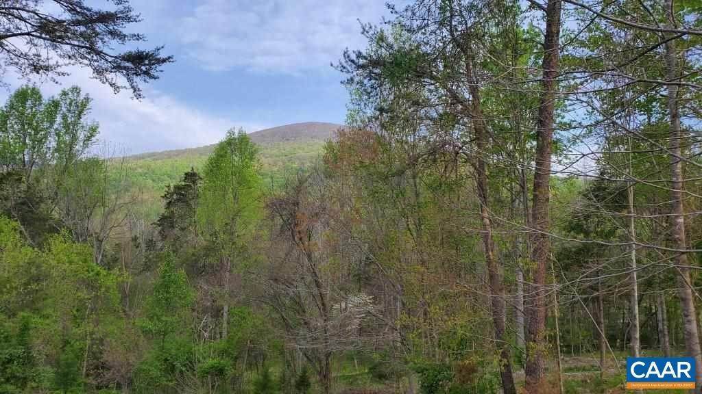 13. Land for Sale at 457 STONEY CREEK EAST Nellysford, Virginia 22958 United States