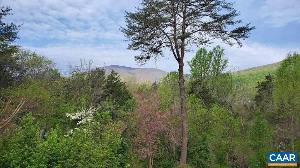 6. Land for Sale at 457 STONEY CREEK EAST Nellysford, Virginia 22958 United States
