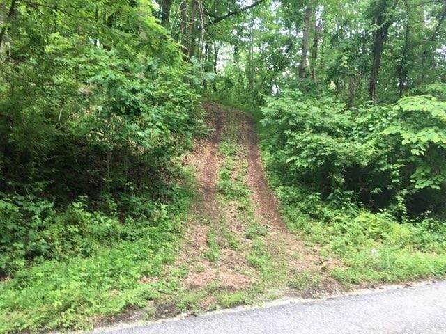 12. Land for Sale at TBD POUNDING BRANCH Road Afton, Virginia 22920 United States
