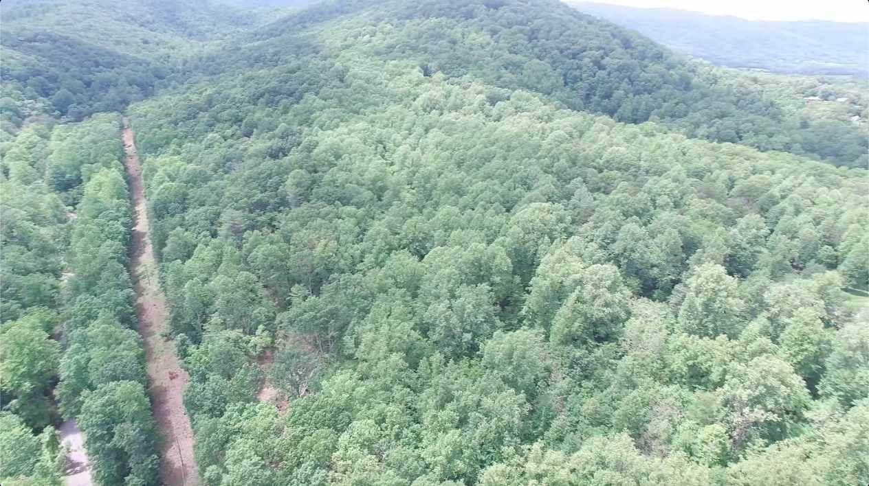 30. Land for Sale at TBD POUNDING BRANCH Road Afton, Virginia 22920 United States