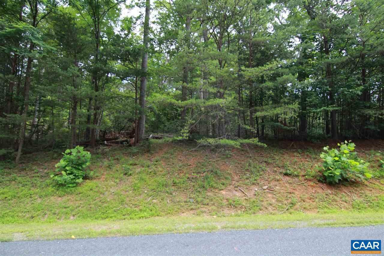 2. Land for Sale at 110 WOOD THRUSH Lane Nellysford, Virginia 22958 United States