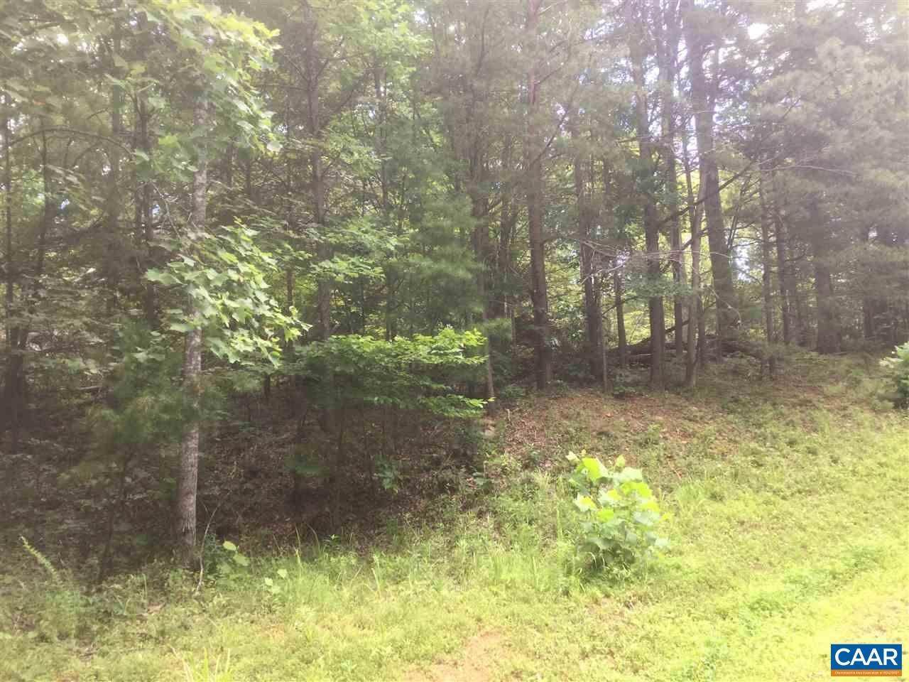 4. Land for Sale at 110 WOOD THRUSH Lane Nellysford, Virginia 22958 United States
