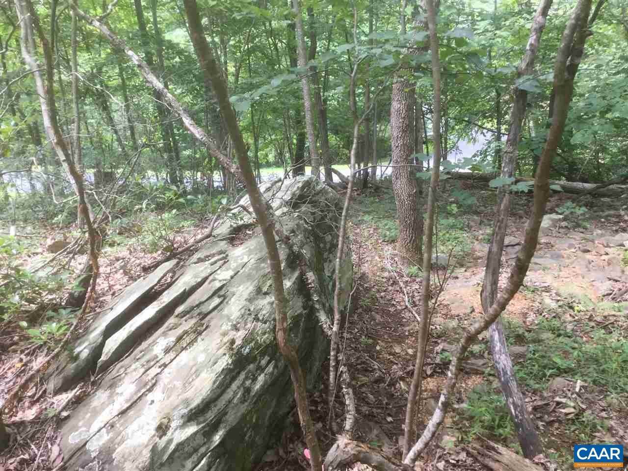 6. Land for Sale at 110 WOOD THRUSH Lane Nellysford, Virginia 22958 United States