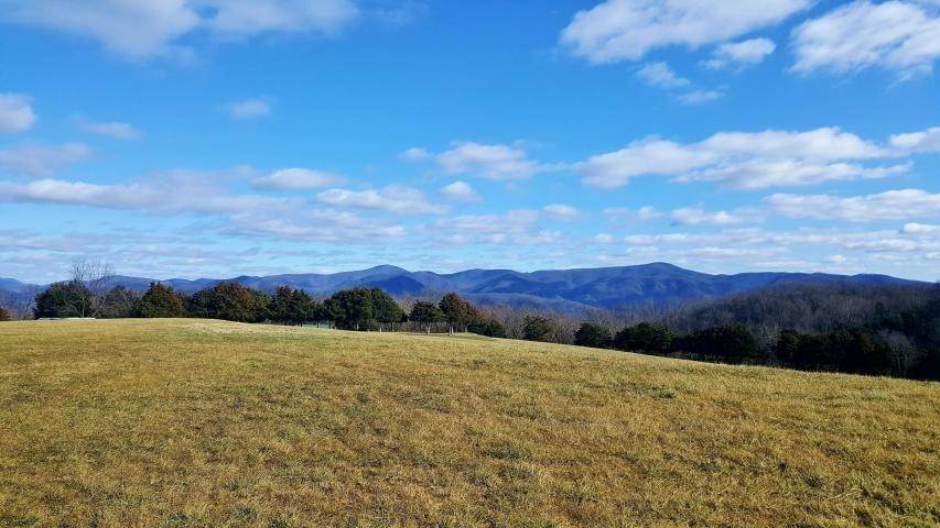 14. Land for Sale at TBD FALLING SPRING Road Glasgow, Virginia 24555 United States