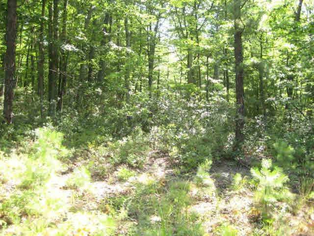 Land for Sale at Lot 47 BIRDS NEST Road Hinton, Virginia 22831 United States