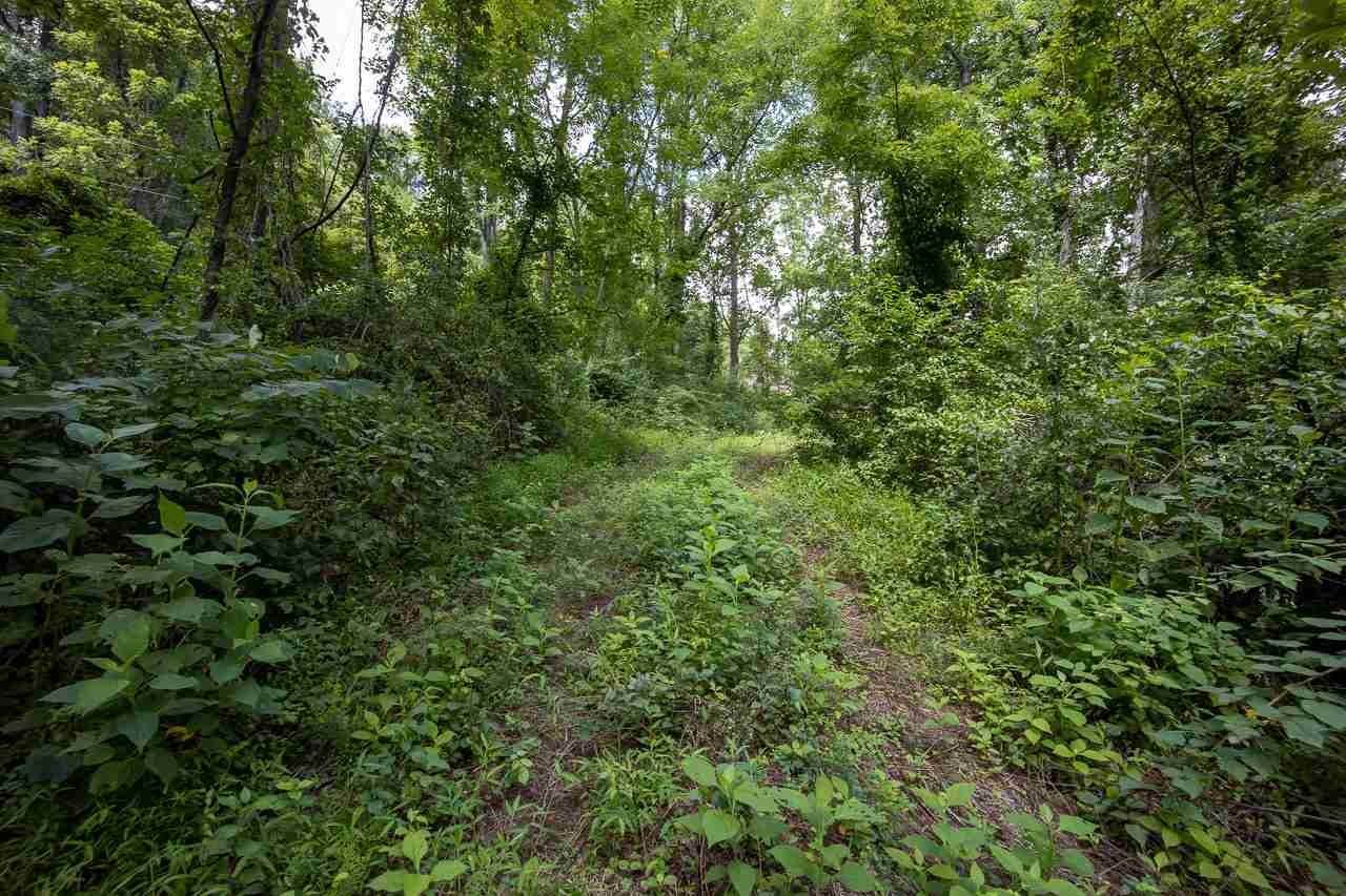 14. Land for Sale at TBD E ROCKY BRANCH Road Luray, Virginia 22835 United States