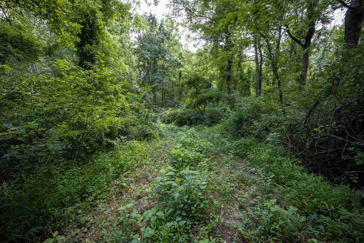15. Land for Sale at TBD E ROCKY BRANCH Road Luray, Virginia 22835 United States