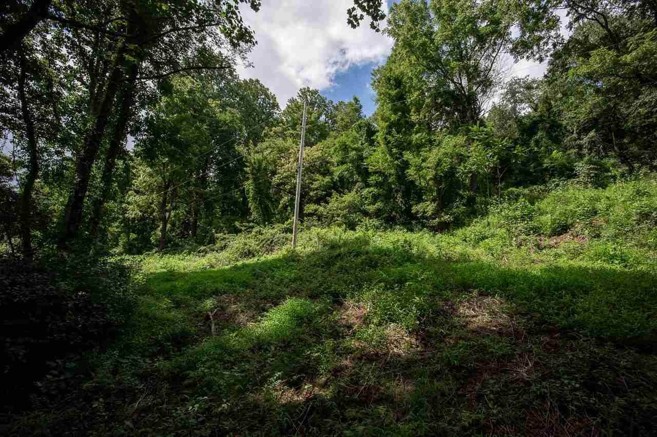 23. Land for Sale at TBD E ROCKY BRANCH Road Luray, Virginia 22835 United States