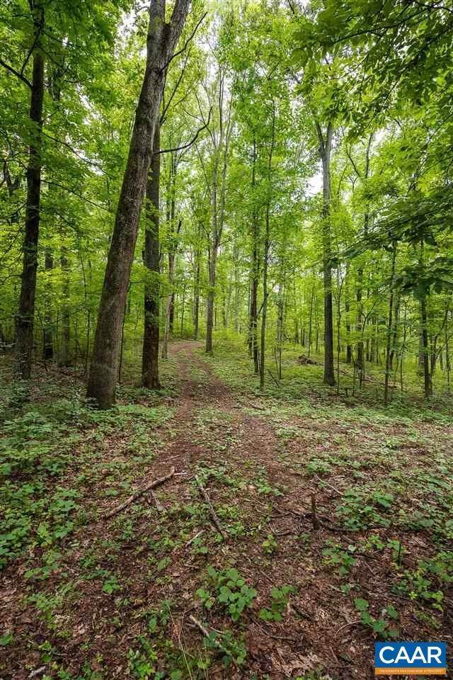 15. Land for Sale at D-2 WINSOME ORCHARD Lane North Garden, Virginia 22959 United States