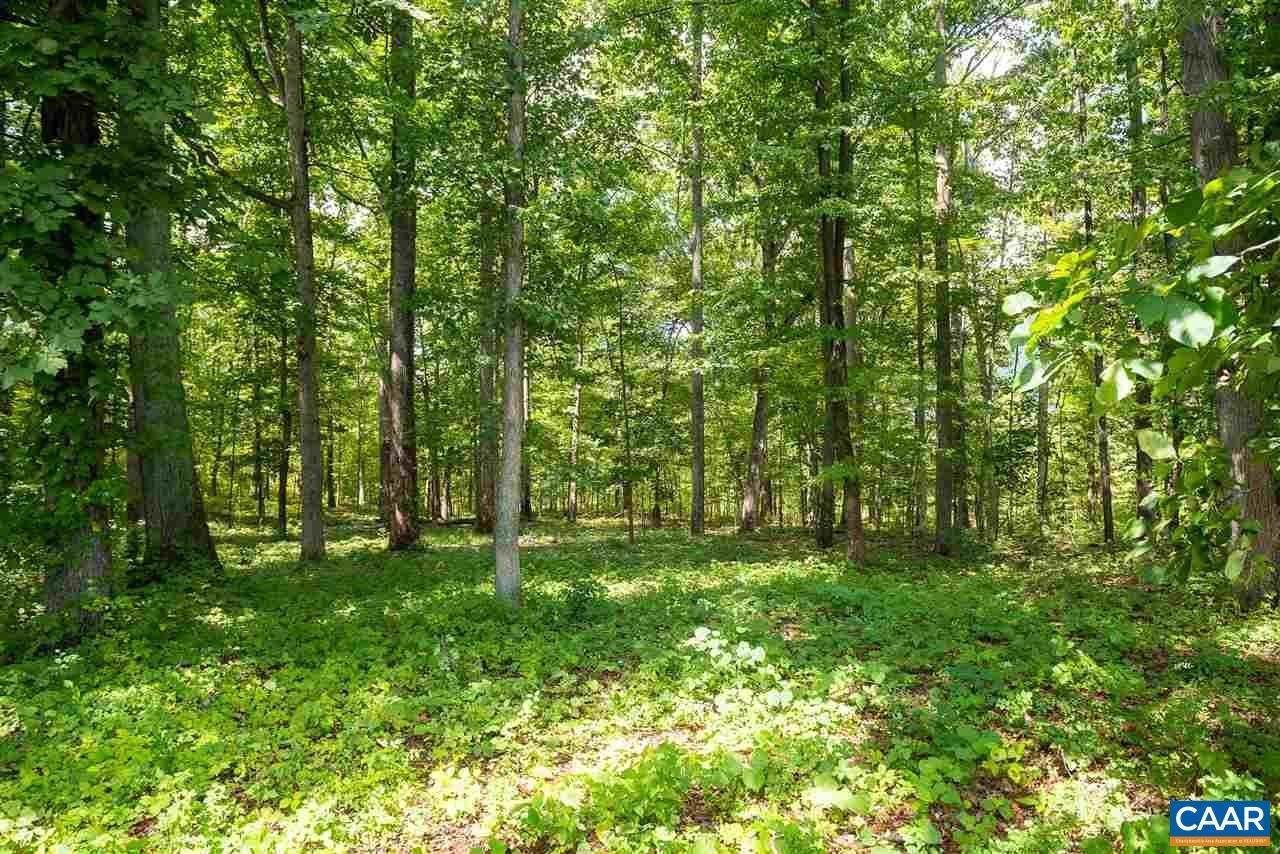 18. Land for Sale at D-2 WINSOME ORCHARD Lane North Garden, Virginia 22959 United States