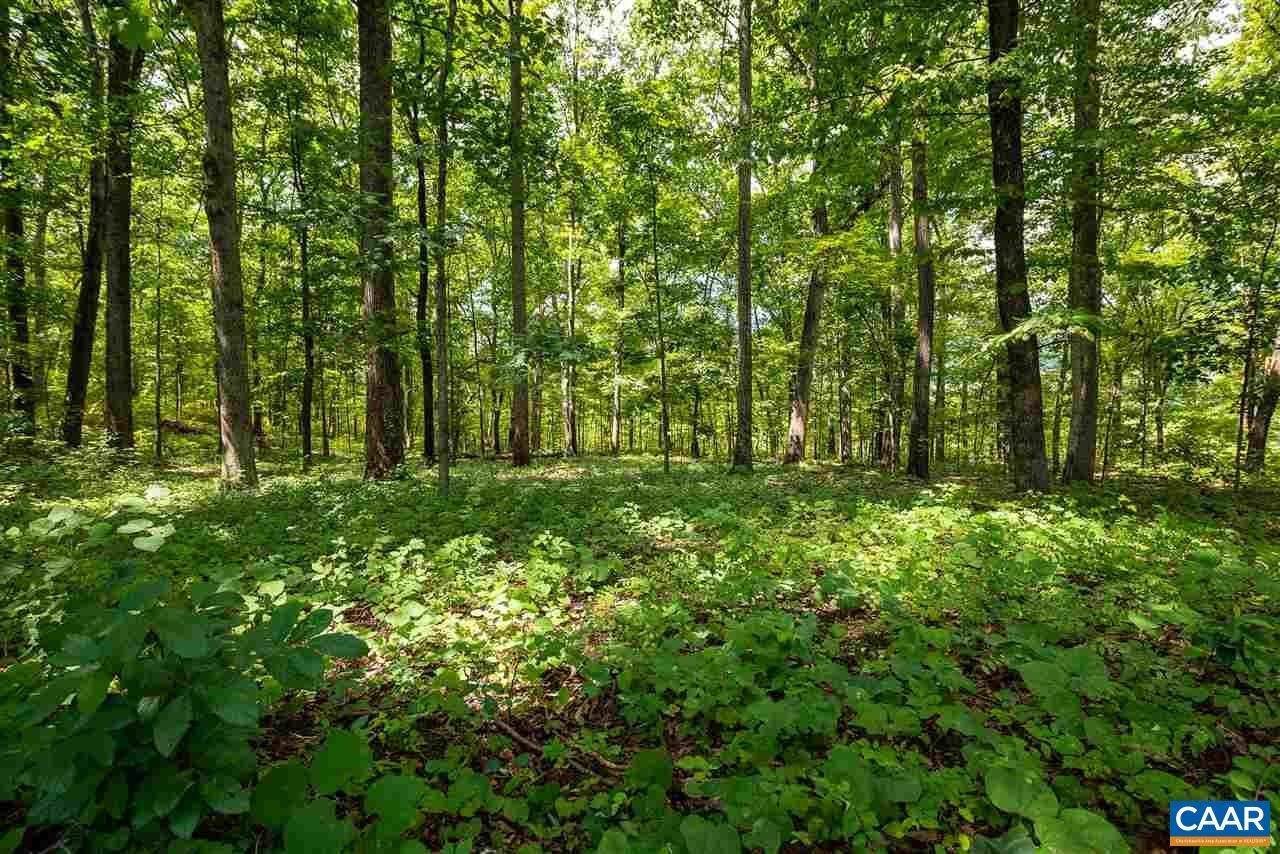 21. Land for Sale at D-2 WINSOME ORCHARD Lane North Garden, Virginia 22959 United States