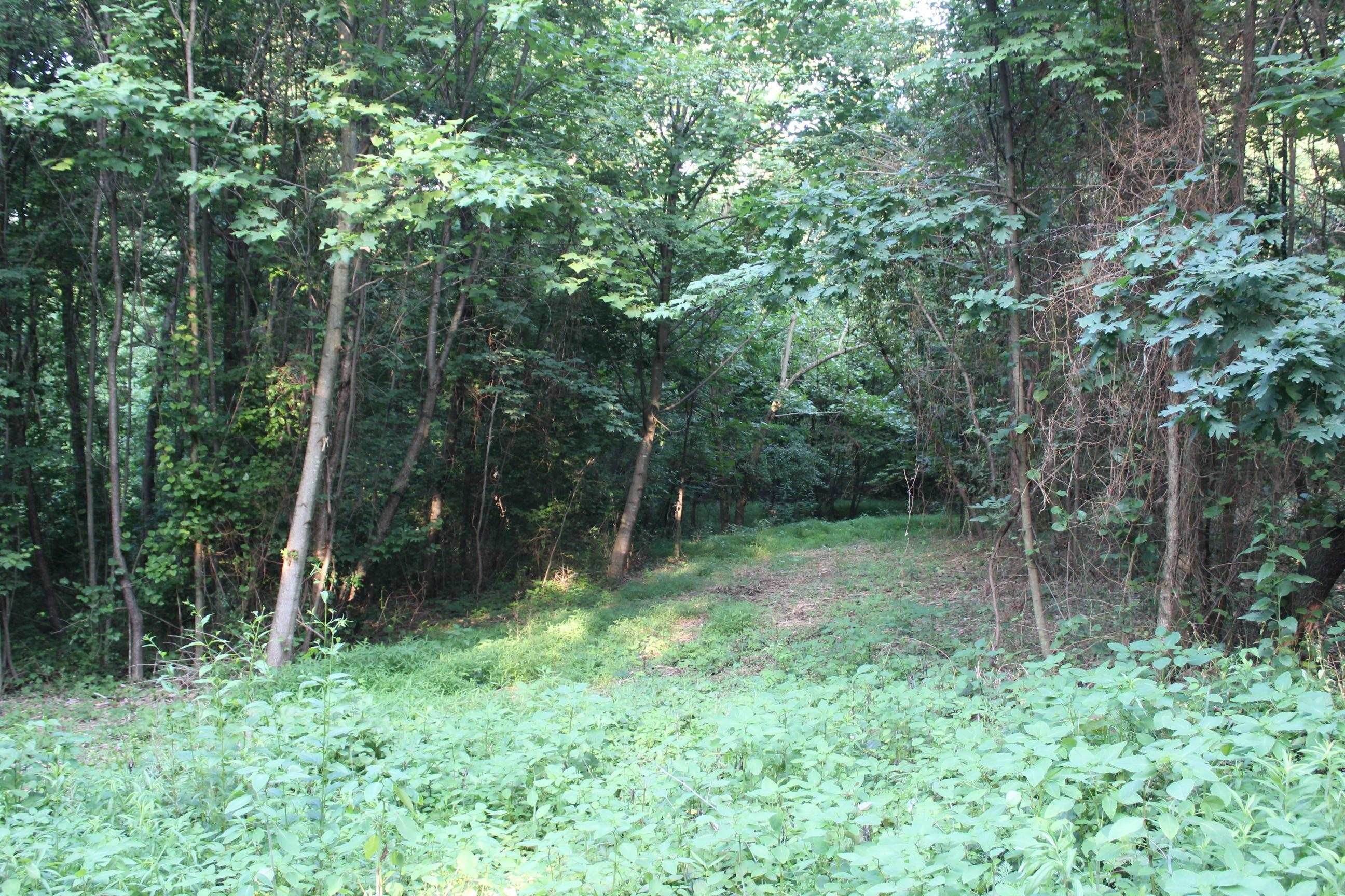 Land for Sale at TBD BIG HILL Road Mount Solon, Virginia 22843 United States