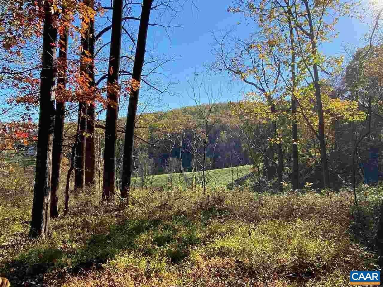 8. Land for Sale at H12 HIGHTOP Drive North Garden, Virginia 22959 United States