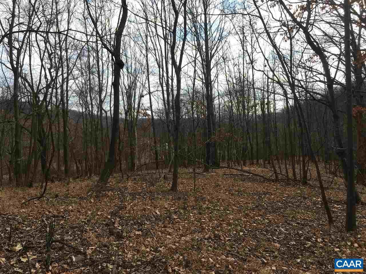 10. Land for Sale at MINT SPRINGS PARK Crozet, Virginia 22932 United States