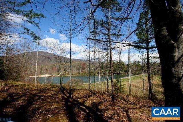 4. Land for Sale at 33 E LAKESIDE Nellysford, Virginia 22958 United States