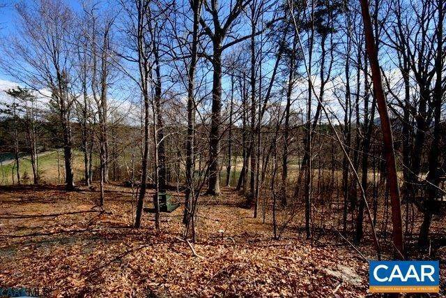 6. Land for Sale at 33 E LAKESIDE Nellysford, Virginia 22958 United States