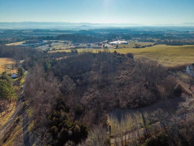 2. Land for Sale at TBD FORT DEFIANCE Road Other Areas, Virginia 24437 United States