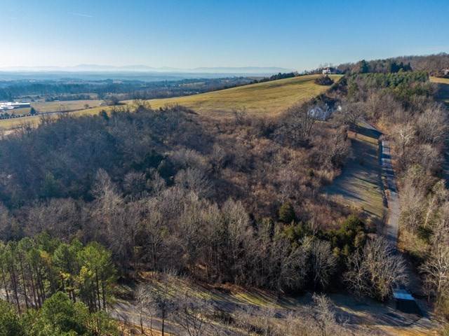 12. Land for Sale at TBD FORT DEFIANCE Road Other Areas, Virginia 24437 United States