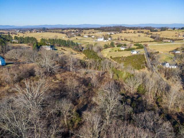 30. Land for Sale at TBD FORT DEFIANCE Road Other Areas, Virginia 24437 United States