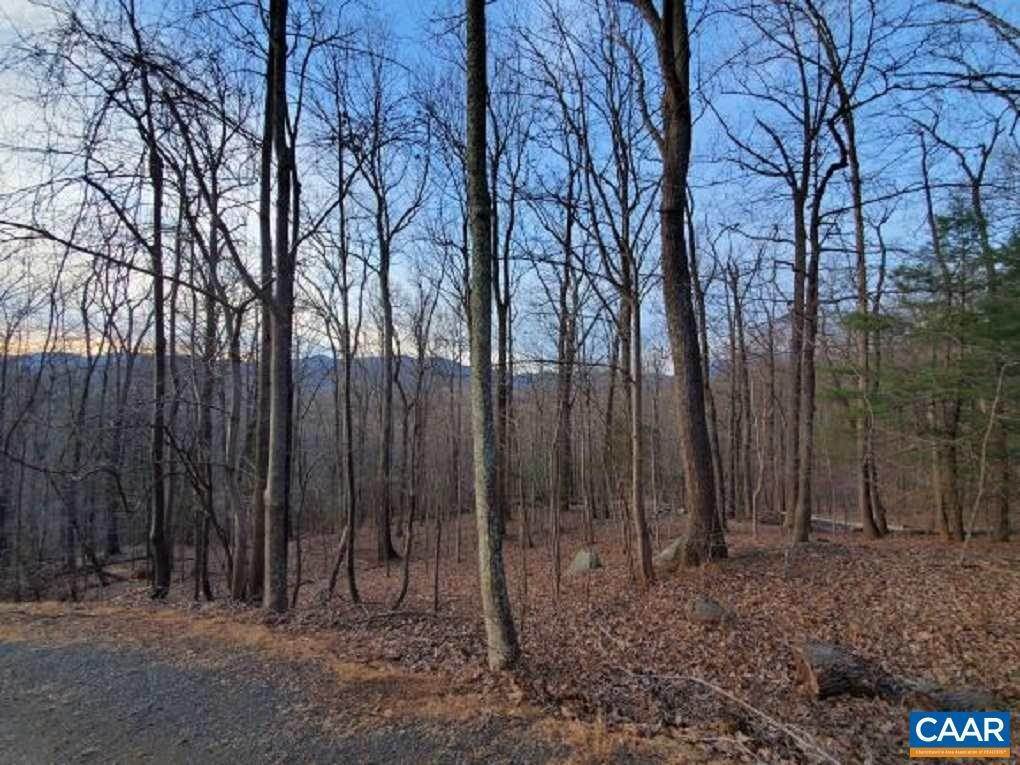 Land for Sale at 141 HEARTHSTONE Lane Nellysford, Virginia 22958 United States