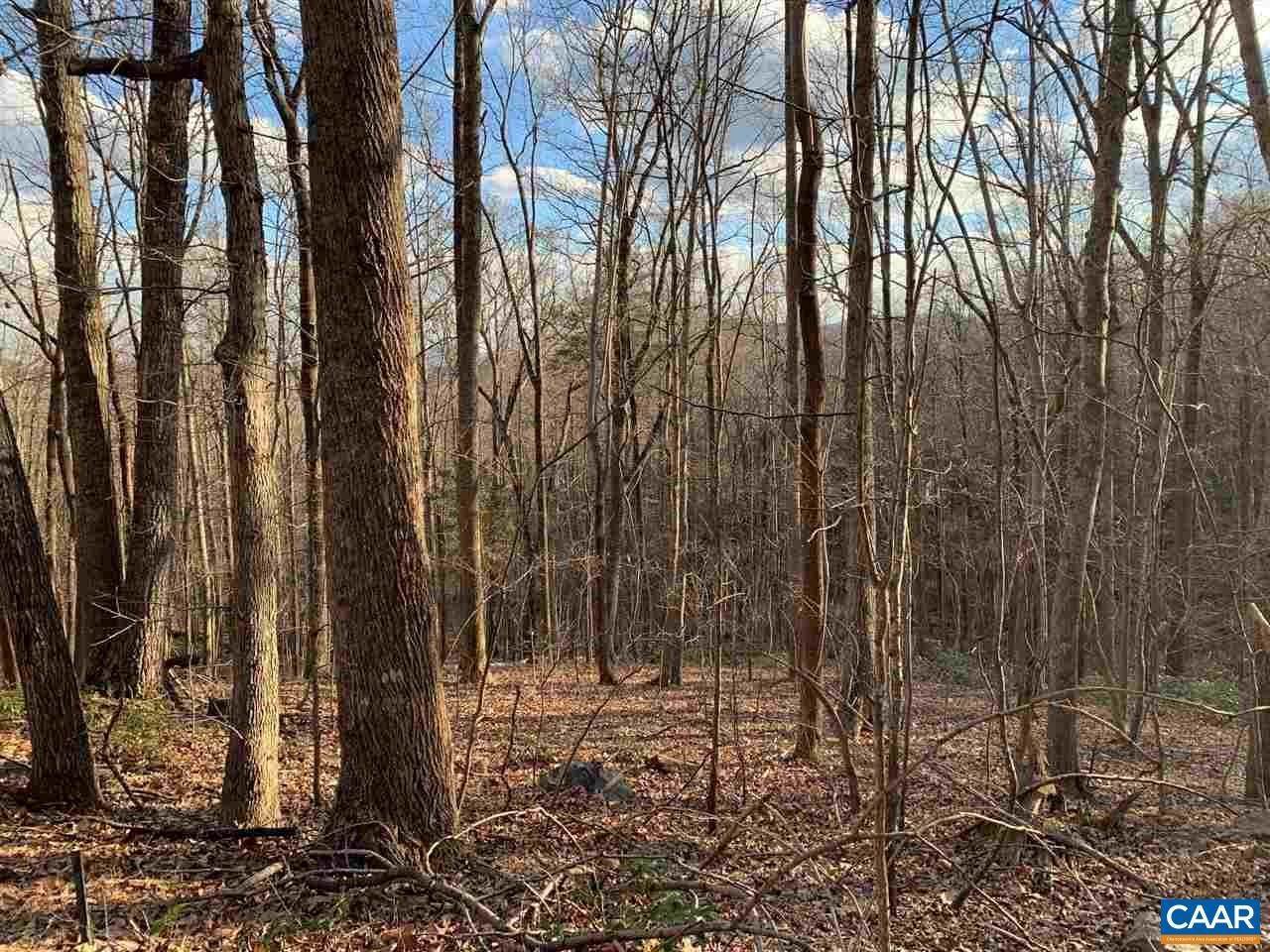 4. Land for Sale at 355 CRAWFORDS CLIMB Nellysford, Virginia 22958 United States