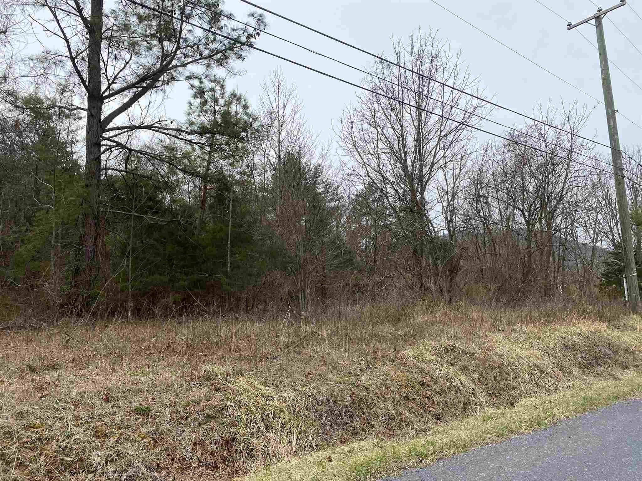 1. Land for Sale at TBD Site 3 HUCKLEBERRY Road Elkton, Virginia 22827 United States