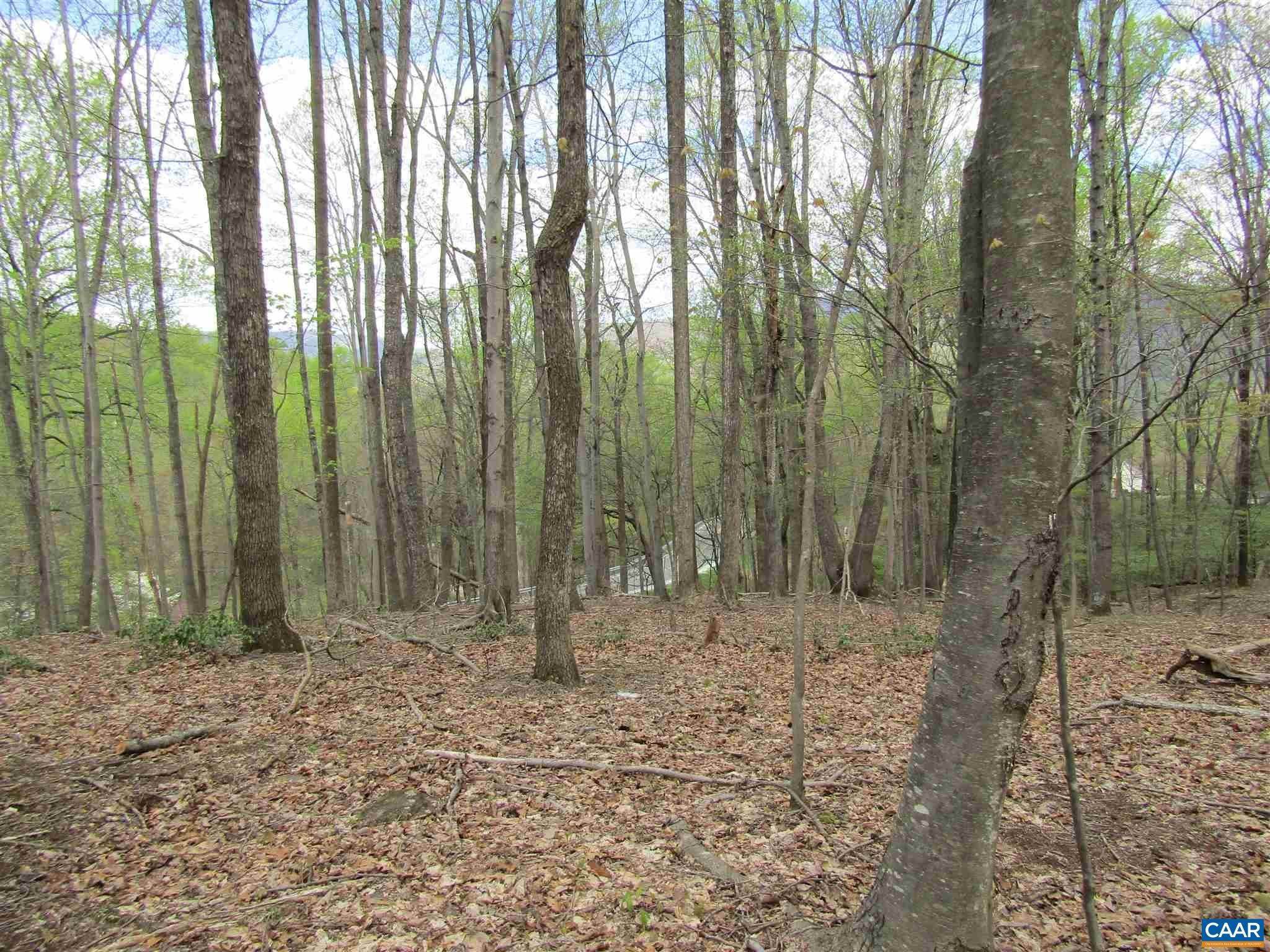 Land for Sale at Lot 0 PATRICK HENRY HWY Roseland, Virginia 22958 United States
