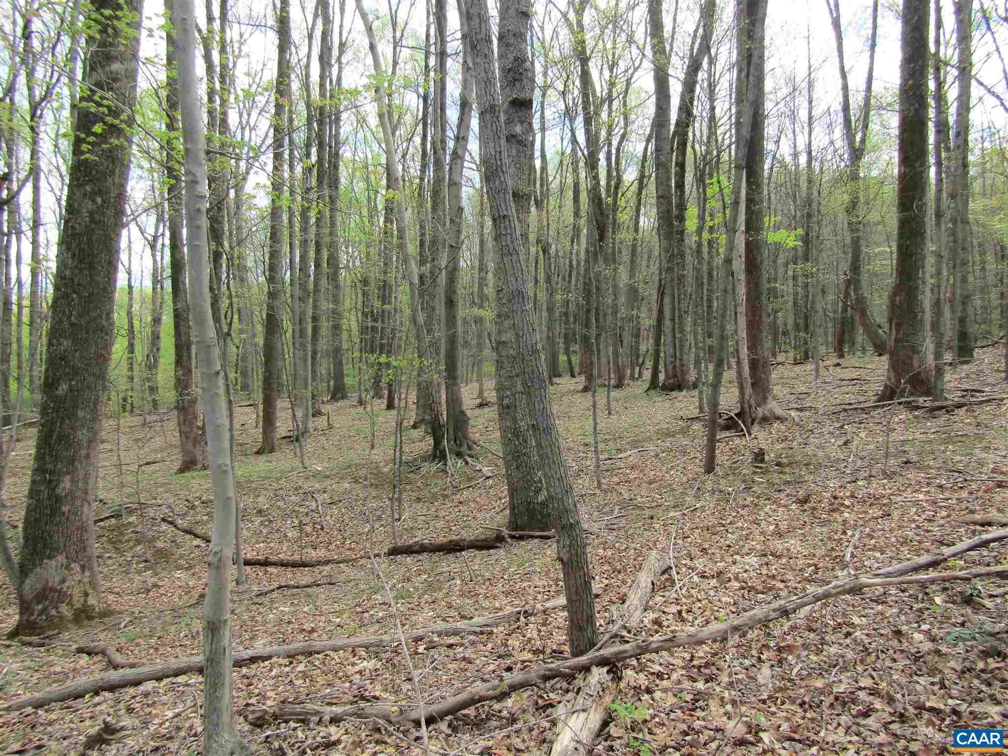 7. Land for Sale at Lot 0 PATRICK HENRY HWY Roseland, Virginia 22958 United States