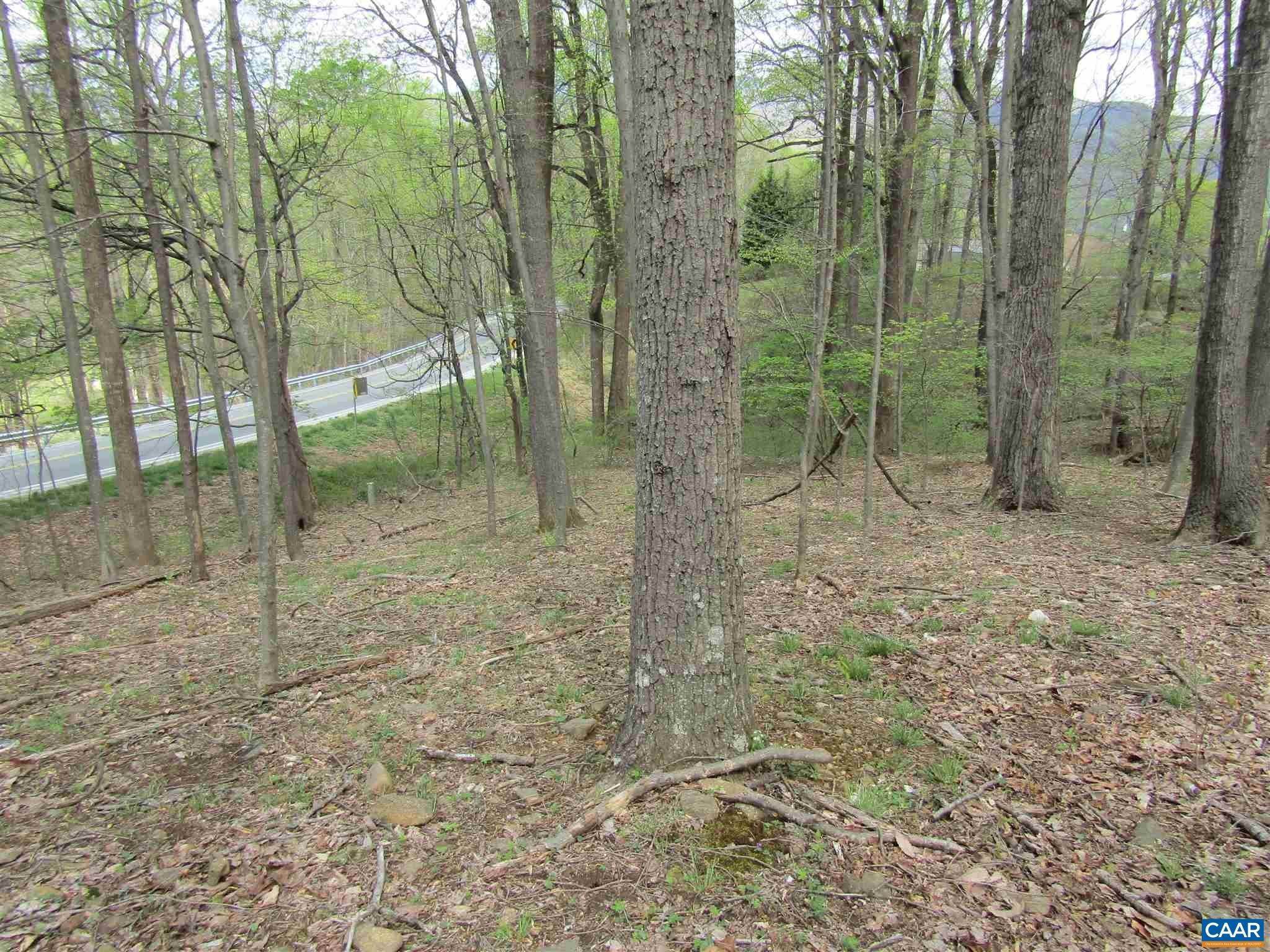 10. Land for Sale at Lot 0 PATRICK HENRY HWY Roseland, Virginia 22958 United States