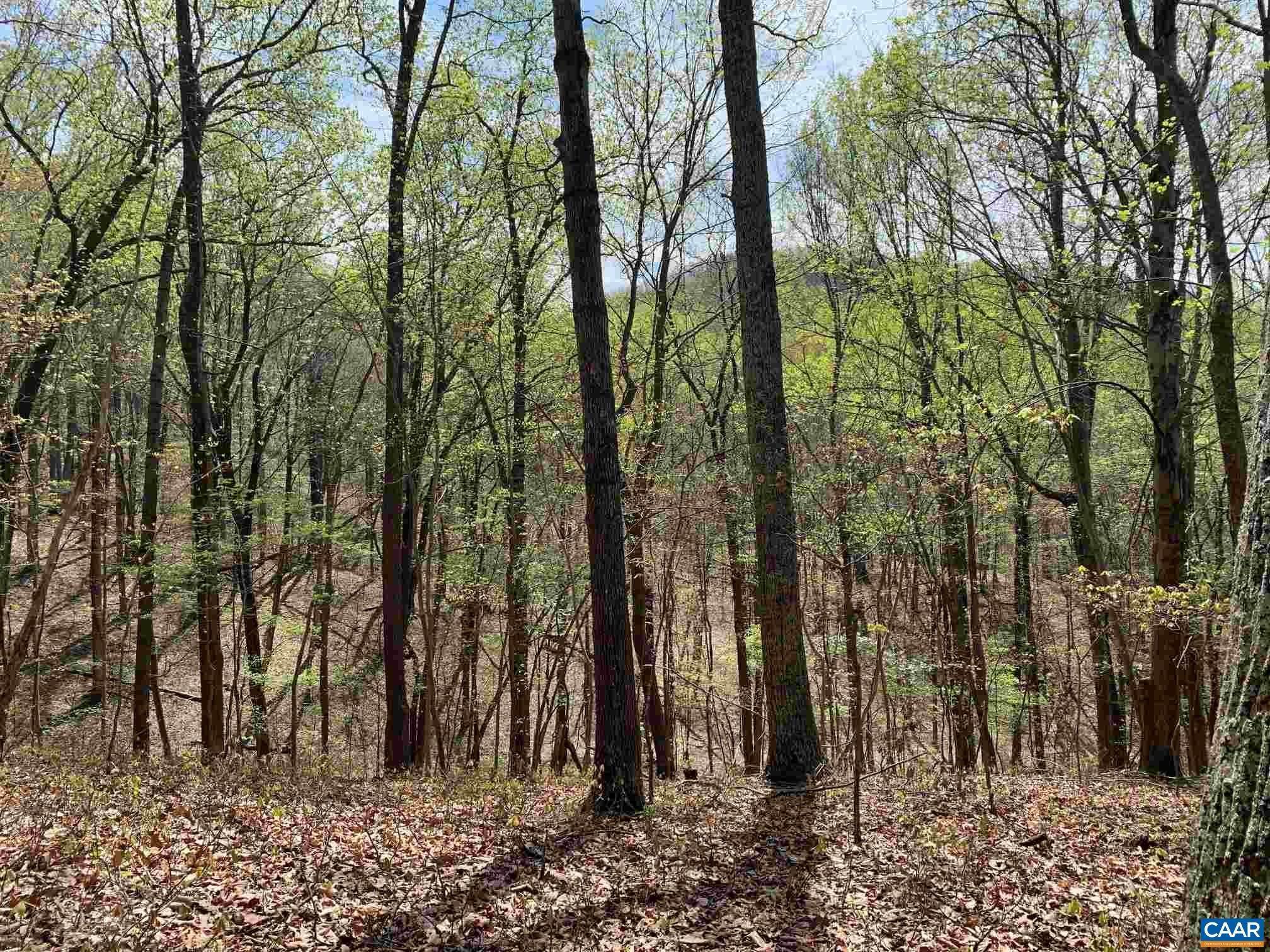 3. Land for Sale at Lot 6 EAGLES RIDGE Road Nellysford, Virginia 22958 United States