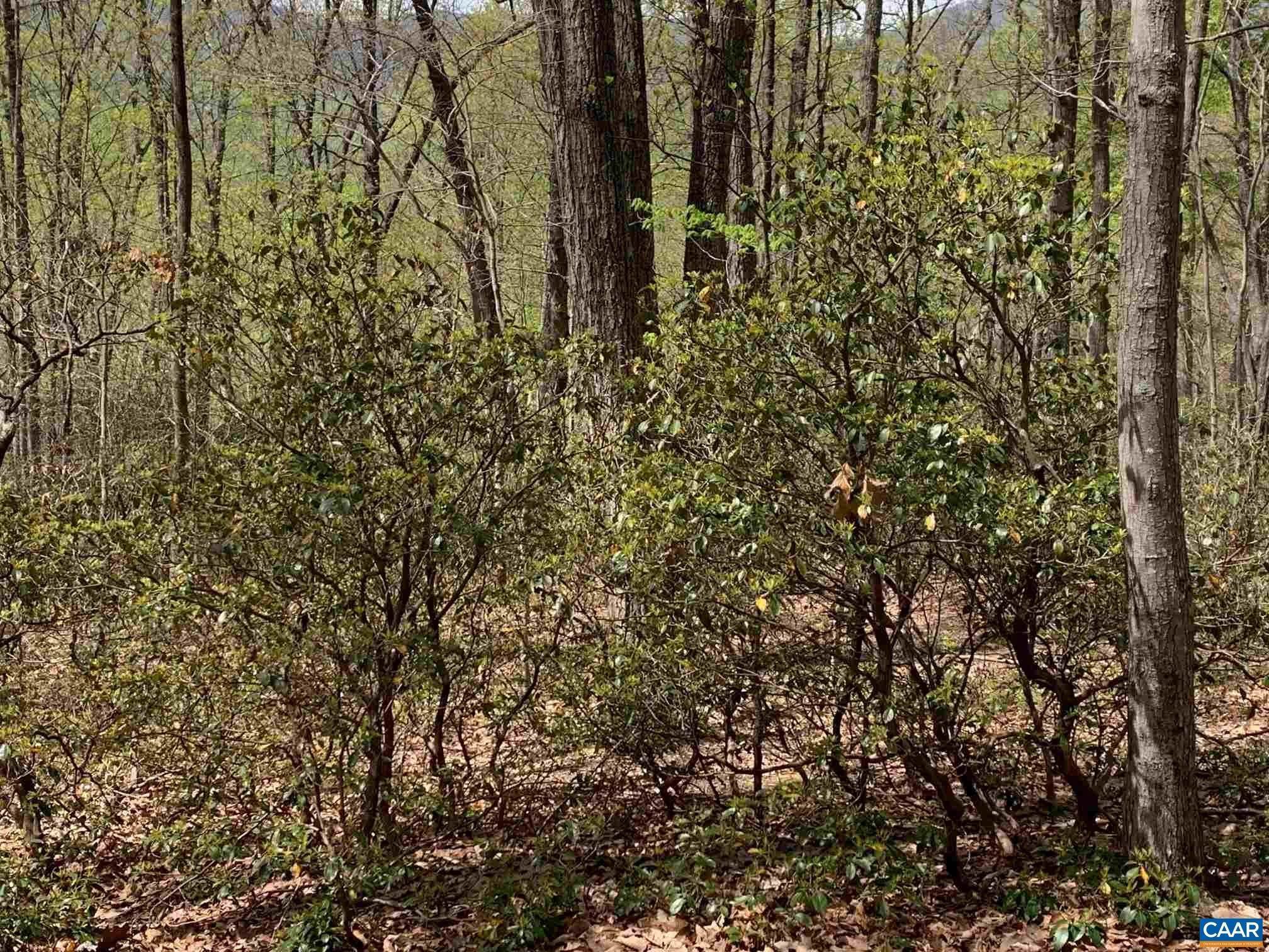 10. Land for Sale at Lot 6 EAGLES RIDGE Road Nellysford, Virginia 22958 United States