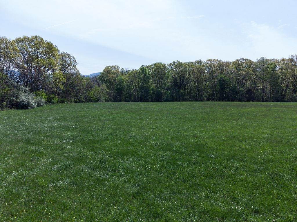 5. Land for Sale at TBD S BOSLEY Drive Stanley, Virginia 22851 United States