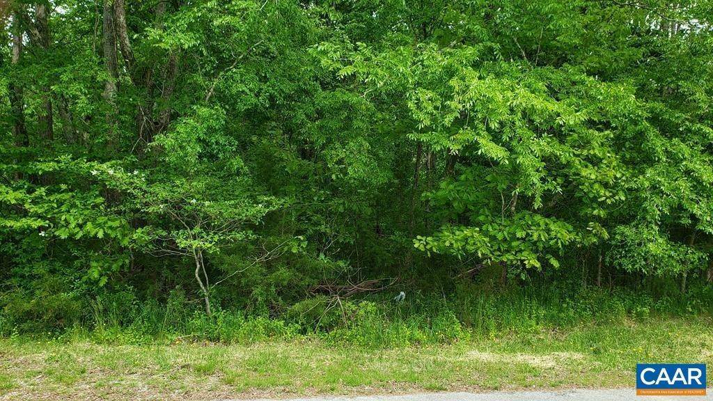 Land for Sale at NOBLIN Drive Farmville, Virginia 23901 United States