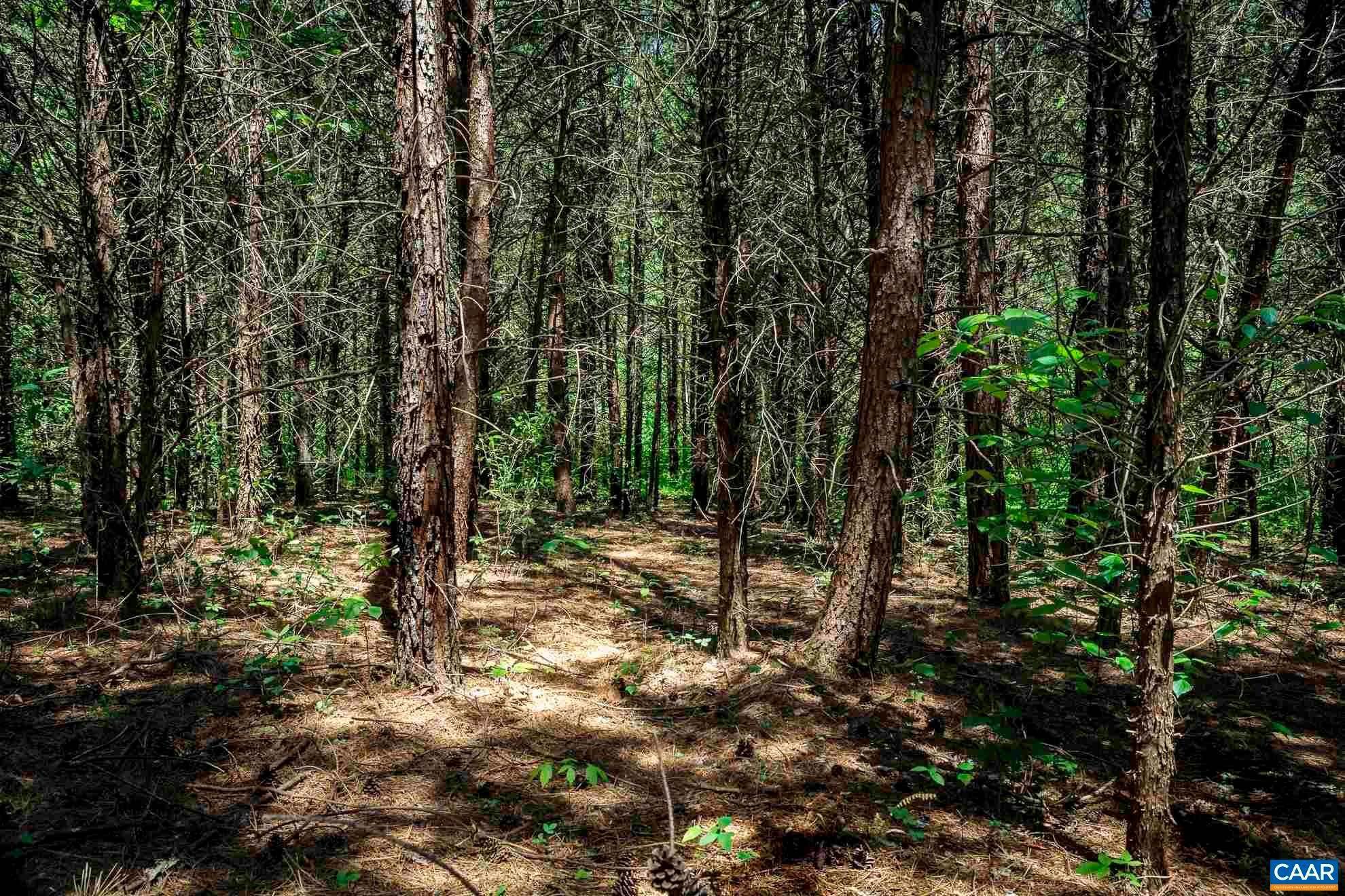 9. Land for Sale at 1245 CARPENTERS MILL Road Ruckersville, Virginia 22968 United States