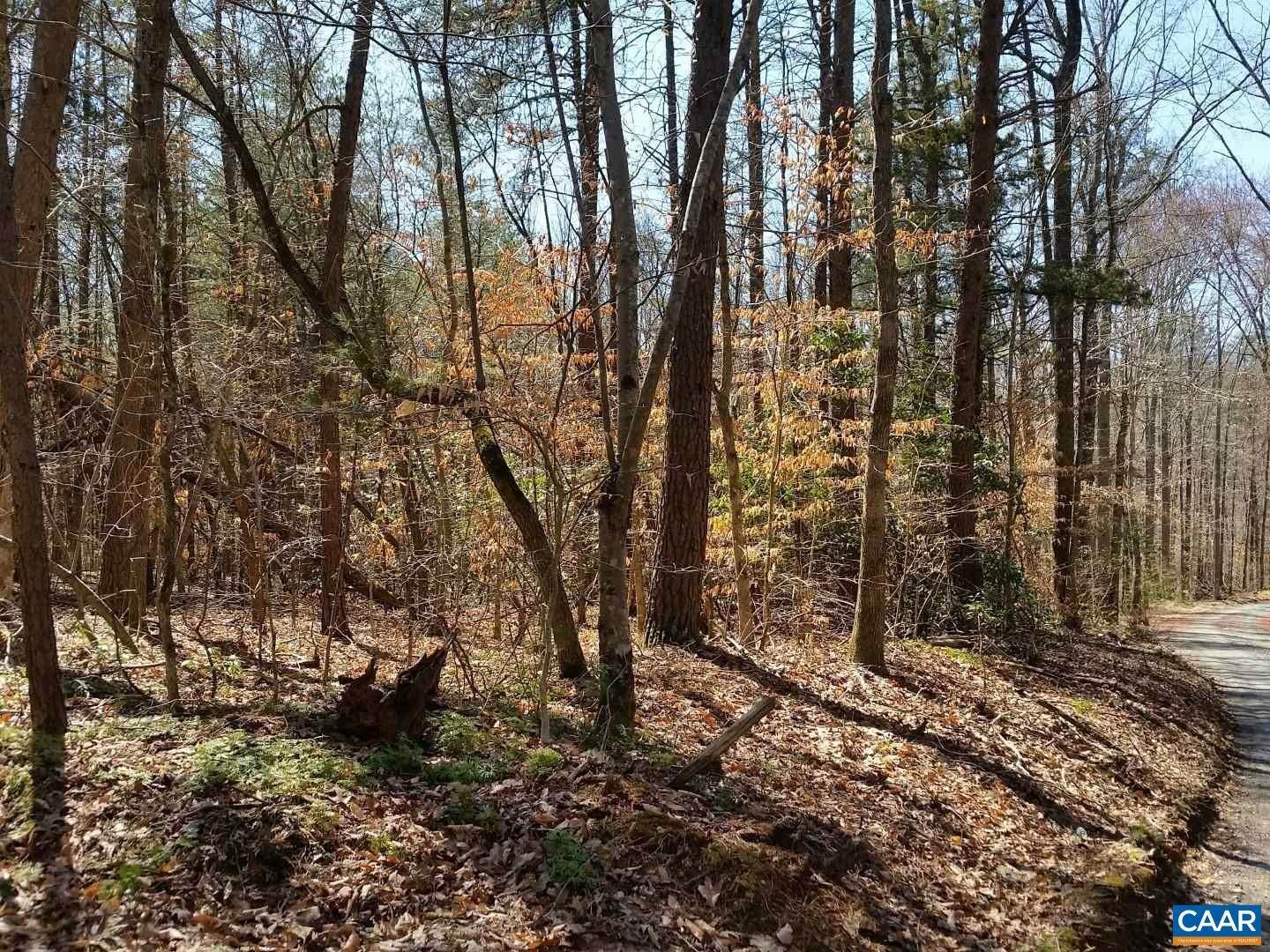 8. Land for Sale at 2627 PENNY Lane Charlottesville, Virginia 22903 United States