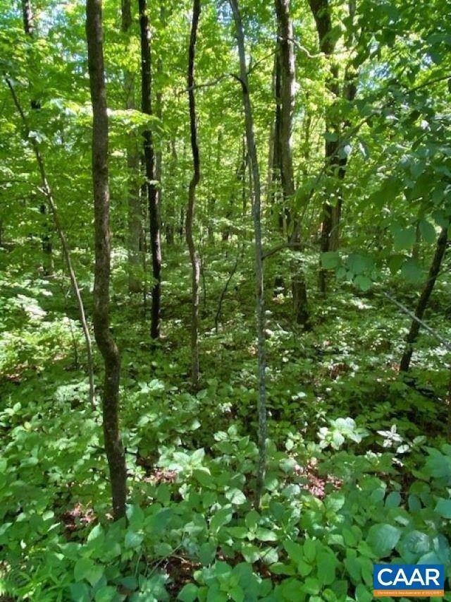 1. Land for Sale at 1331 LAUREL SPRINGS Drive Wintergreen, Virginia 22958 United States