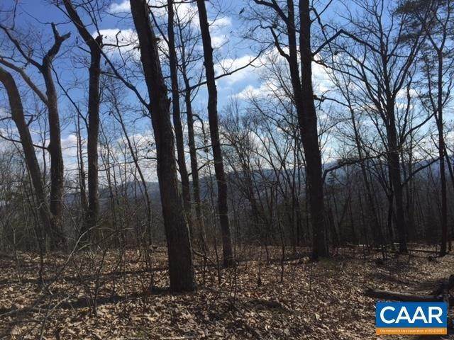 Land for Sale at MILL POND Road Faber, Virginia 22938 United States