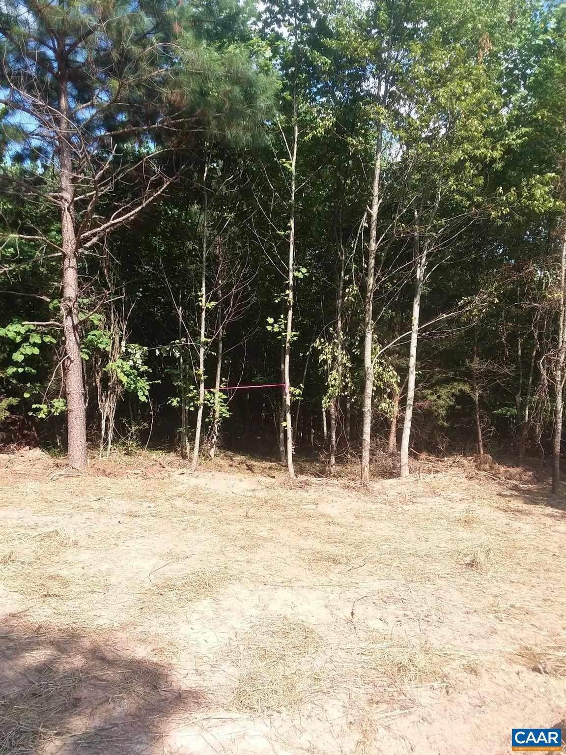 12. Land for Sale at SAINT ANDREWS Road Dillwyn, Virginia 23936 United States