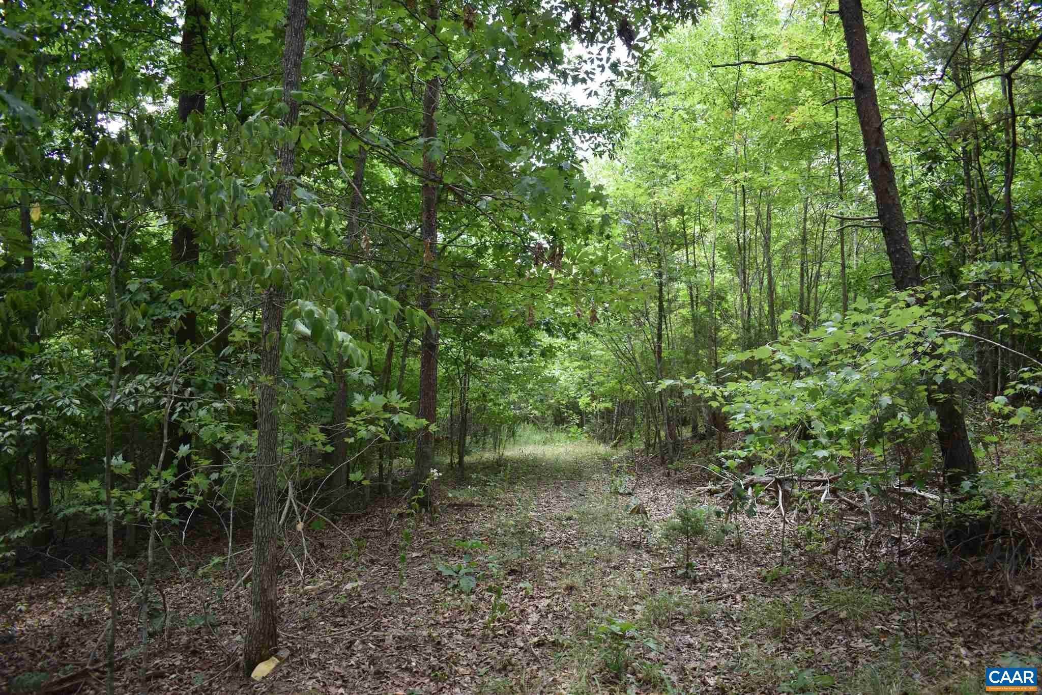 14. Land for Sale at SAINT ANDREWS Road Dillwyn, Virginia 23936 United States