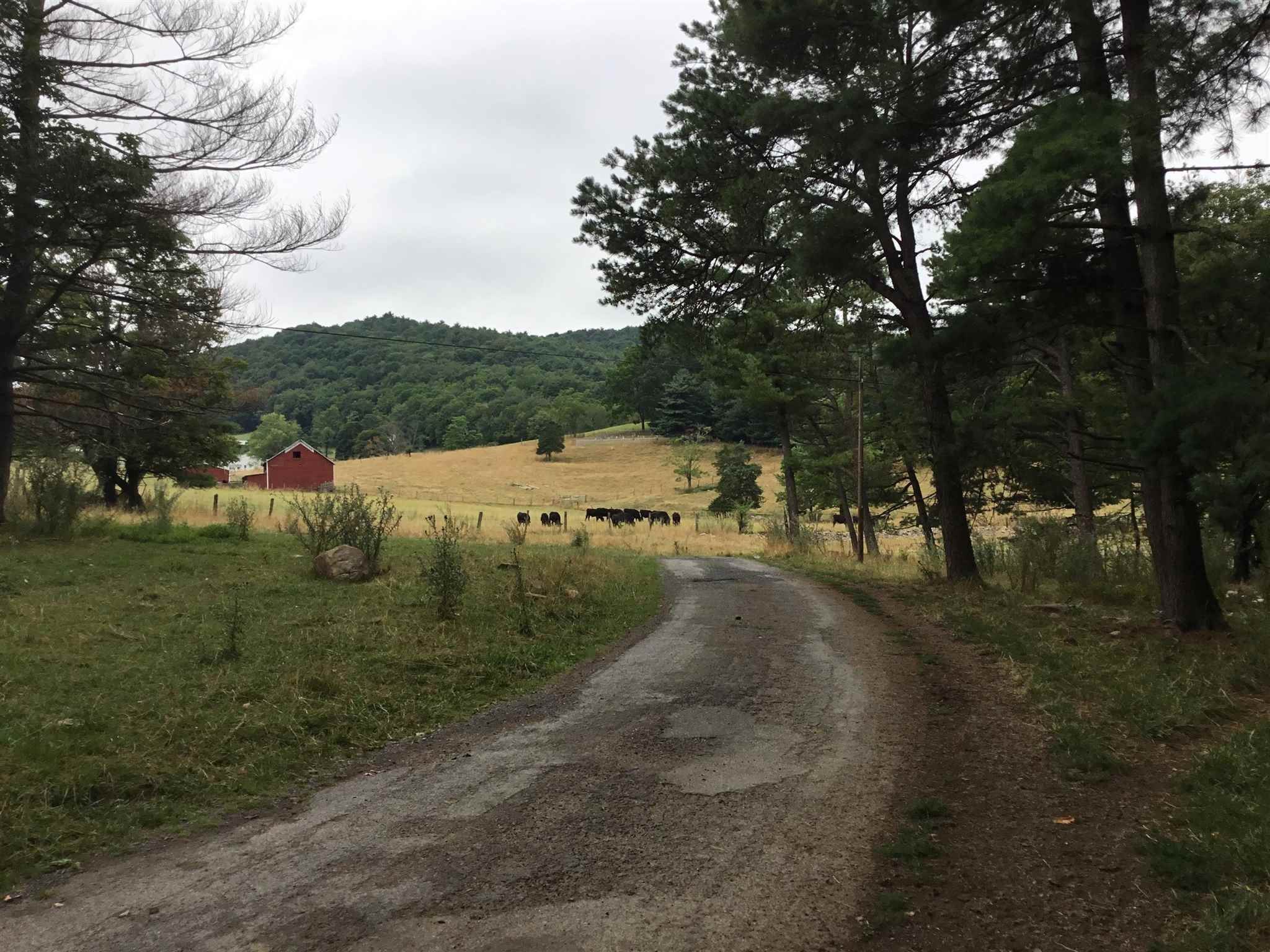 4. Land for Sale at 407 J MALLOW Road Franklin, West Virginia 26807 United States
